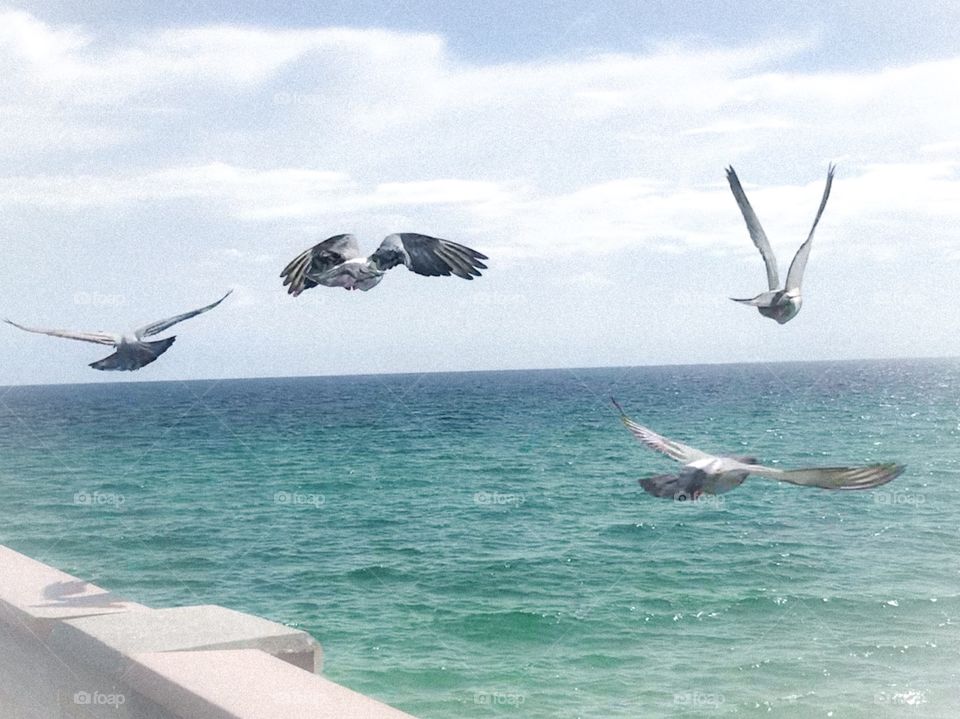 Panama City Beach Florida 