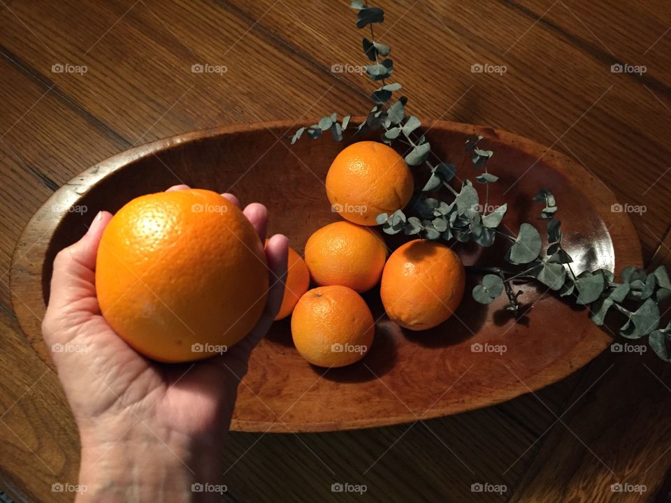 Woman hand holding tangerine fruit