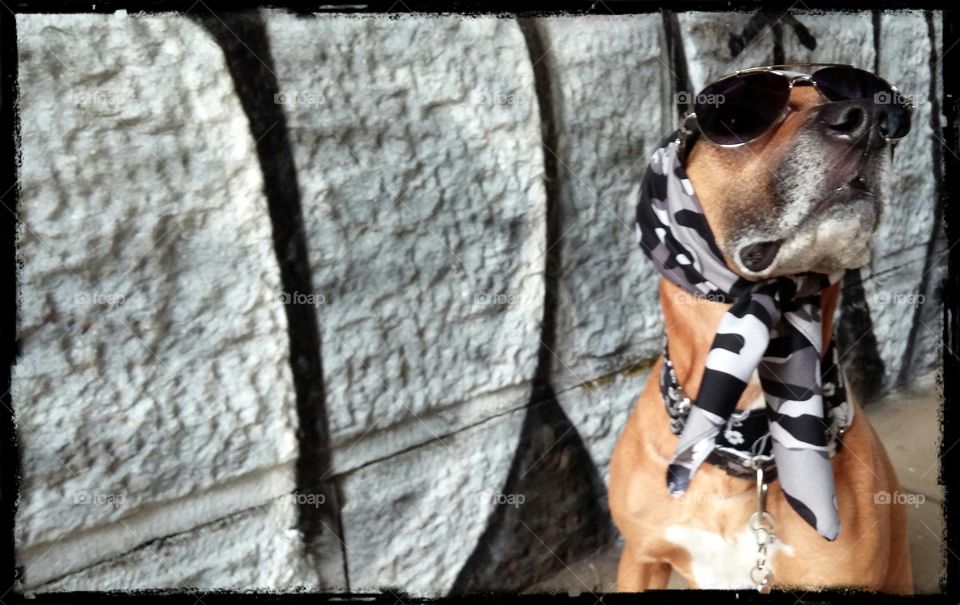 Professional Model . Philadelphia photo shoot 