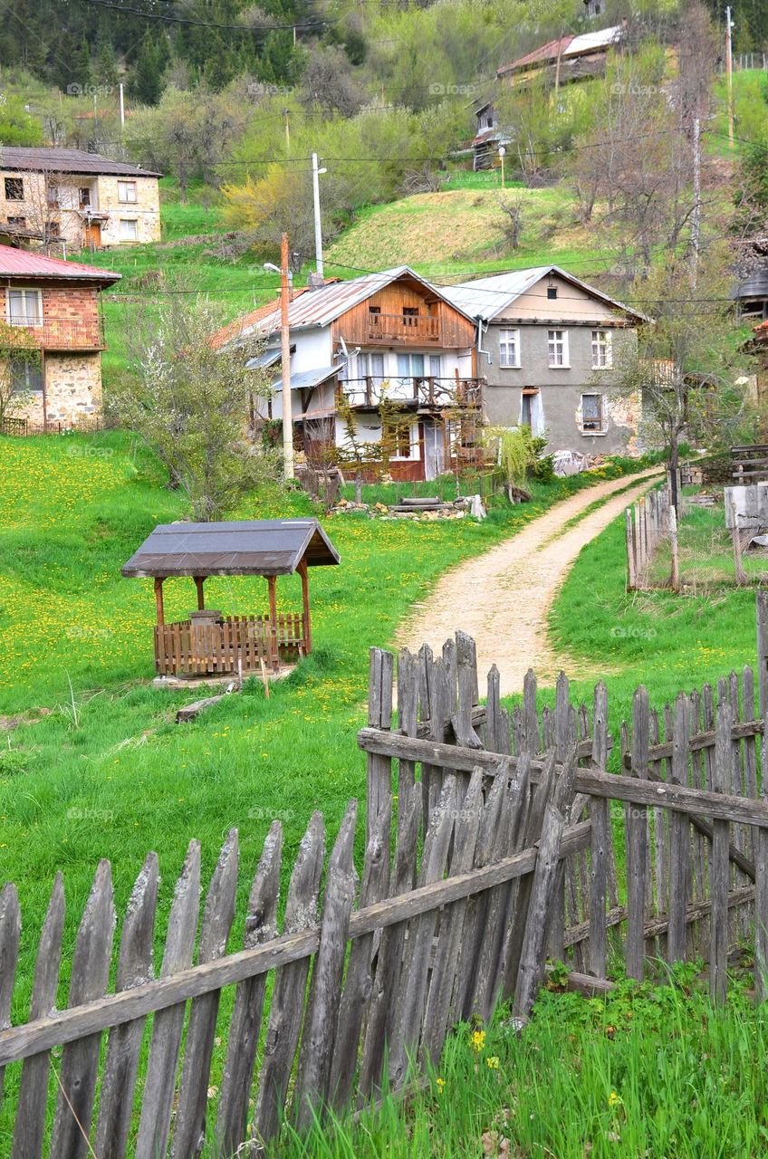 Colours and aroma of spring, Bulgaria, Village Grashtitsa