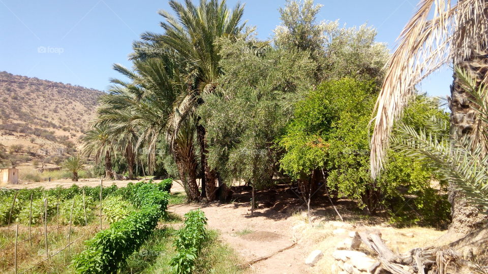 Beautiful and beautiful