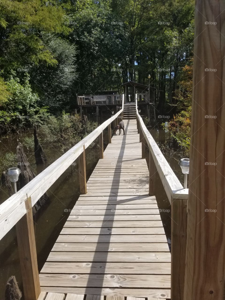 deck to the  Chipola River Fl.