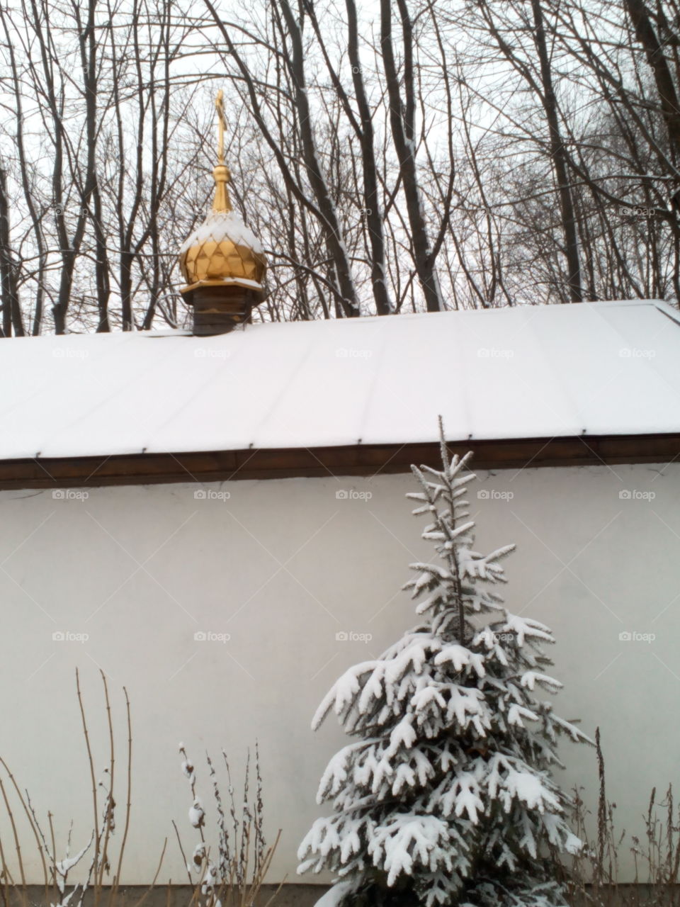 Winter, Snow, Tree, Cold, Wood