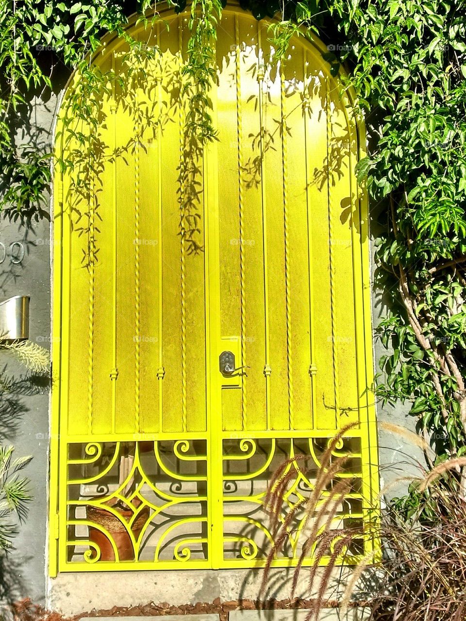 Yellow Door