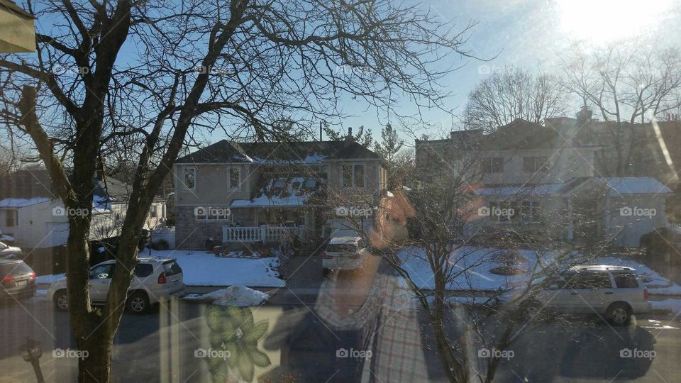 Winter, Tree, Snow, Building, House