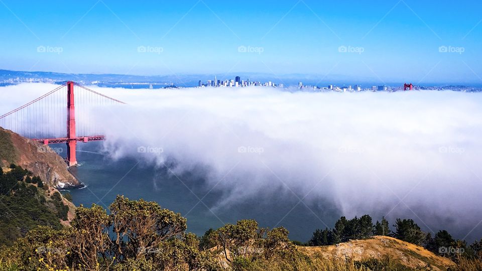 The fog enshrouds the Golden Gate Bridge in San Francisco, CA.