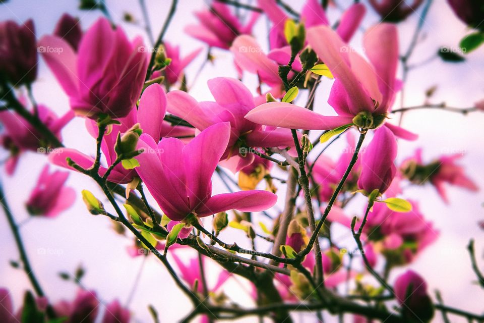 Something is in the air.