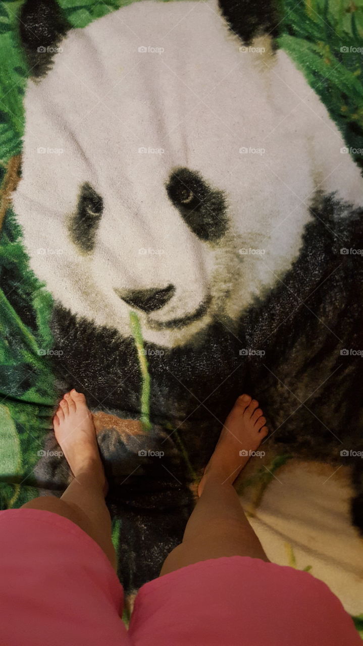 Standing on a soft panda blanket