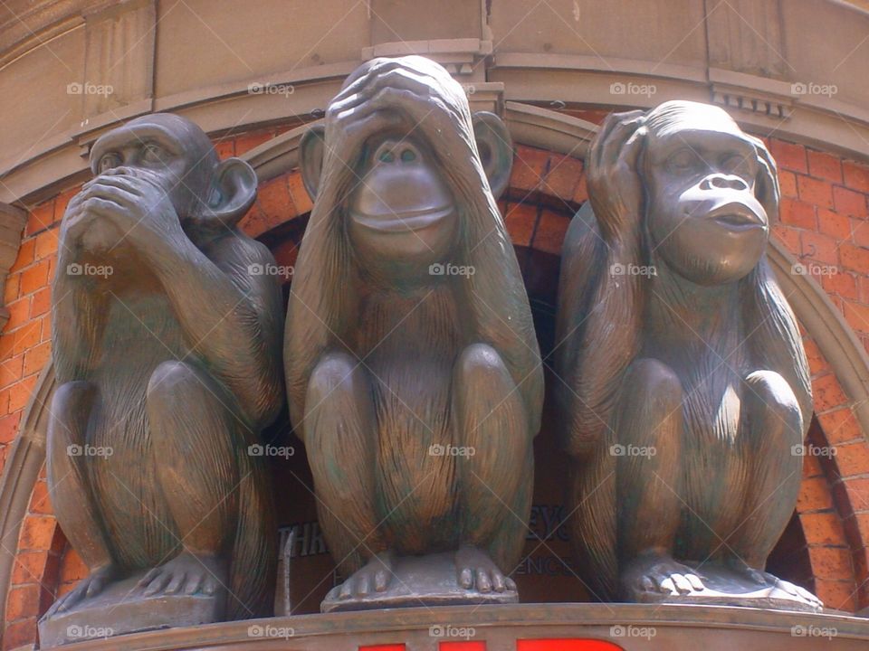 Speak no evil, see no evil, hear no evil