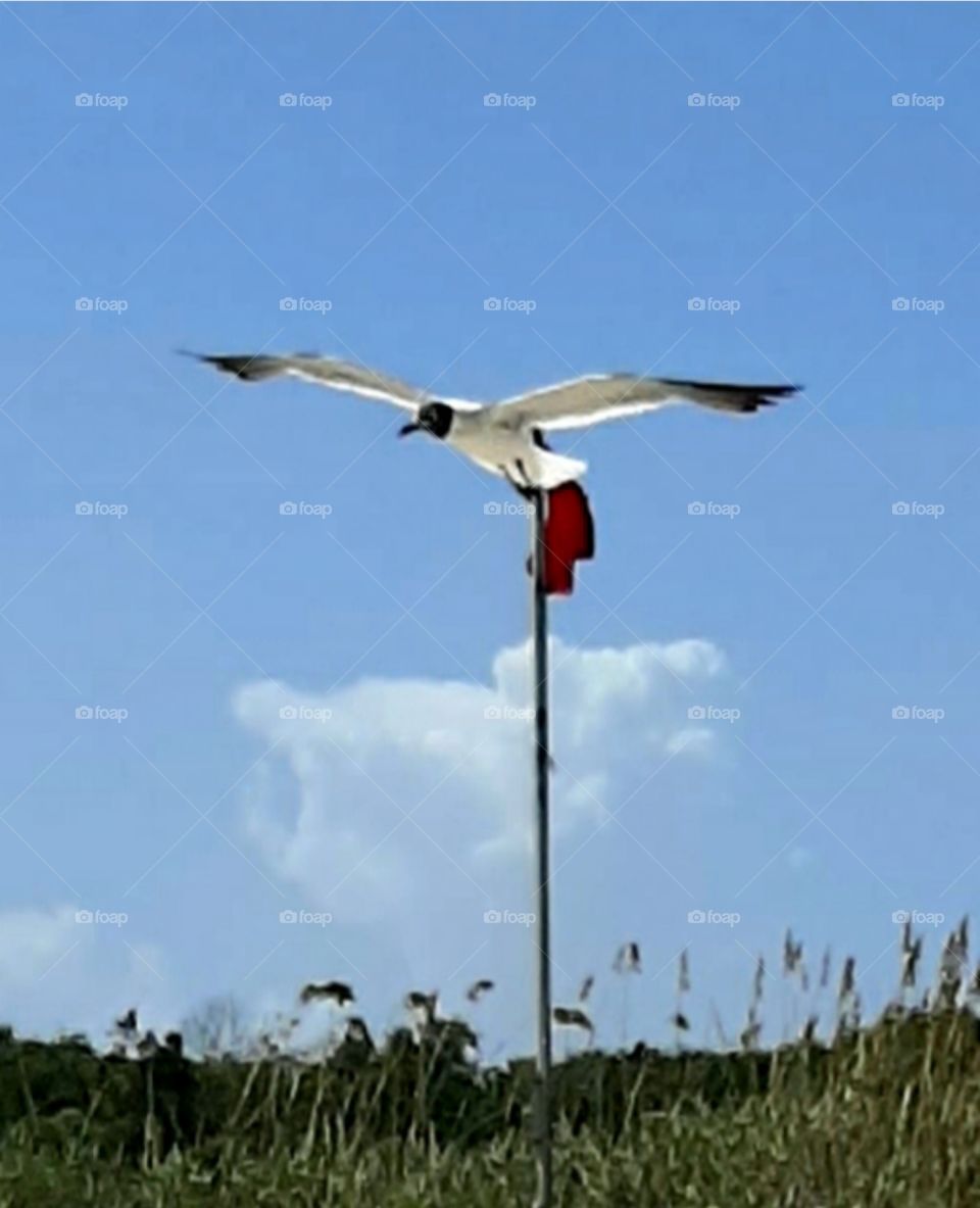looks like he is landing on flag pole. just an illusion