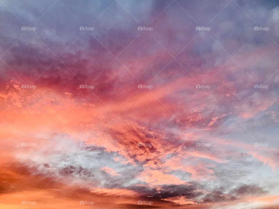 Beautiful colors of the sunset 