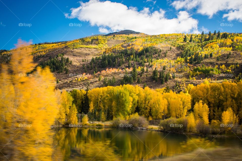 View of autumn trees reflecting on lake