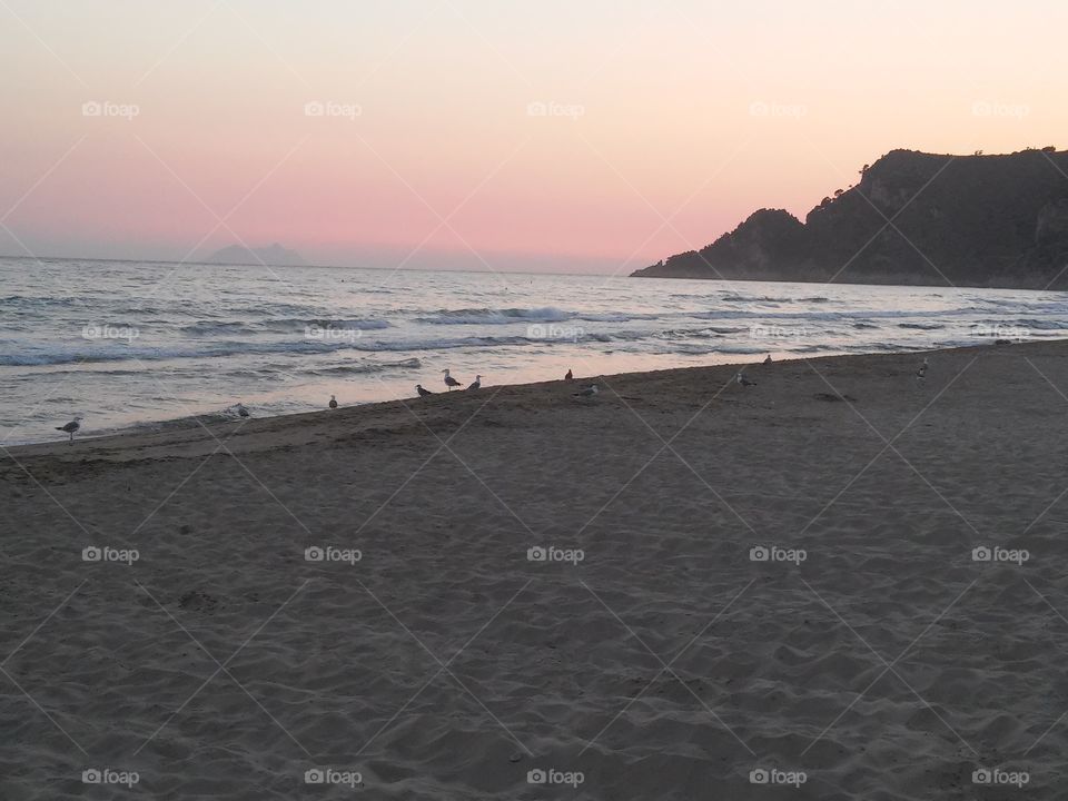 Seagulls assembly. They seem to enjoy the evening breeze.
