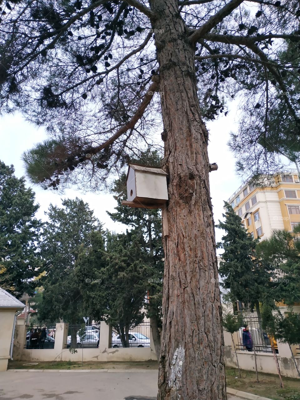 nesting box