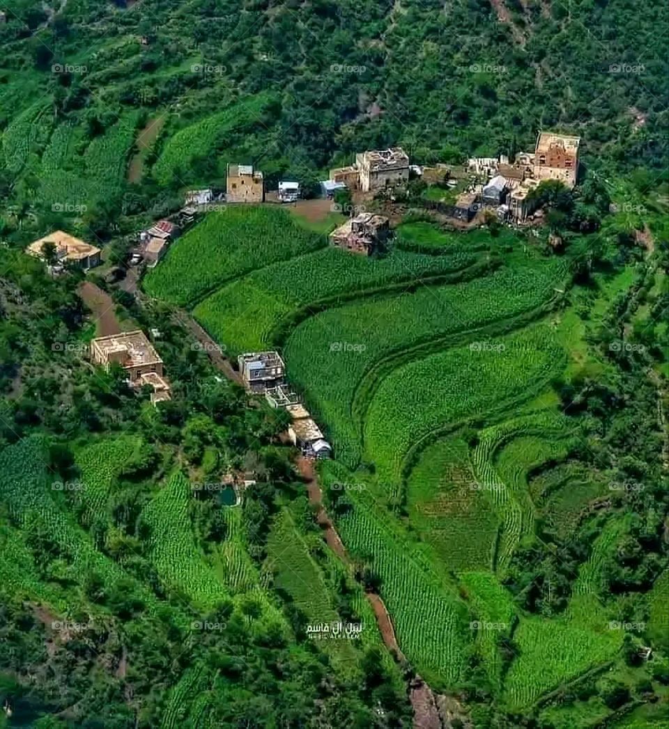 A stunning view of green mountains covered in fog in Yemen