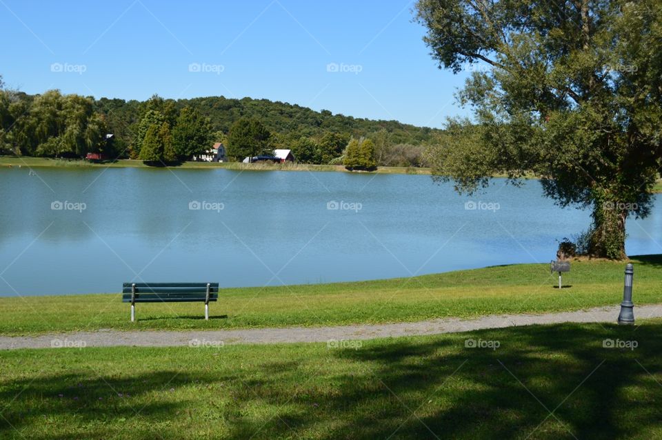 Looking out on the pond 