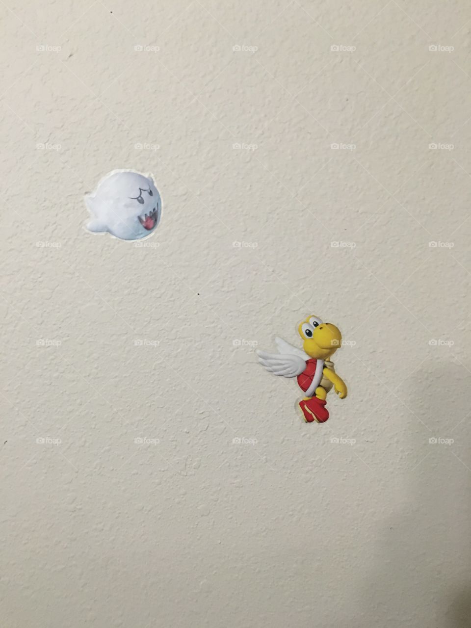 Recreation, No Person, Bird, One, Wear