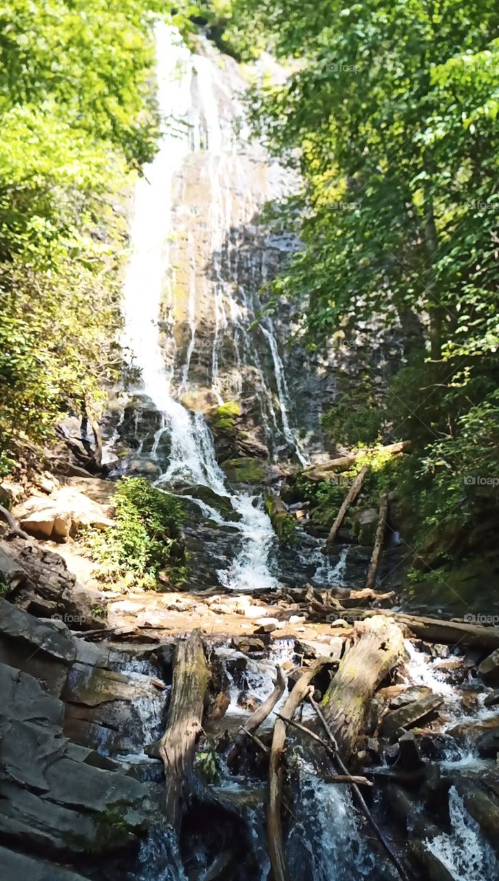waterfall in the mountains in NC