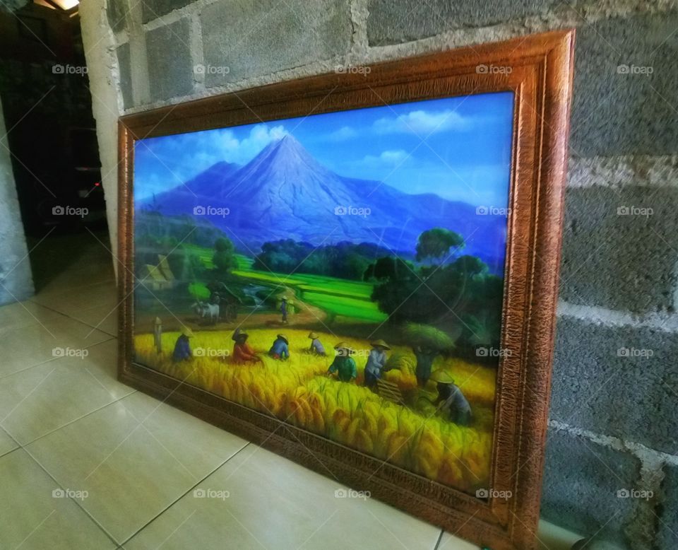 painting rice fields