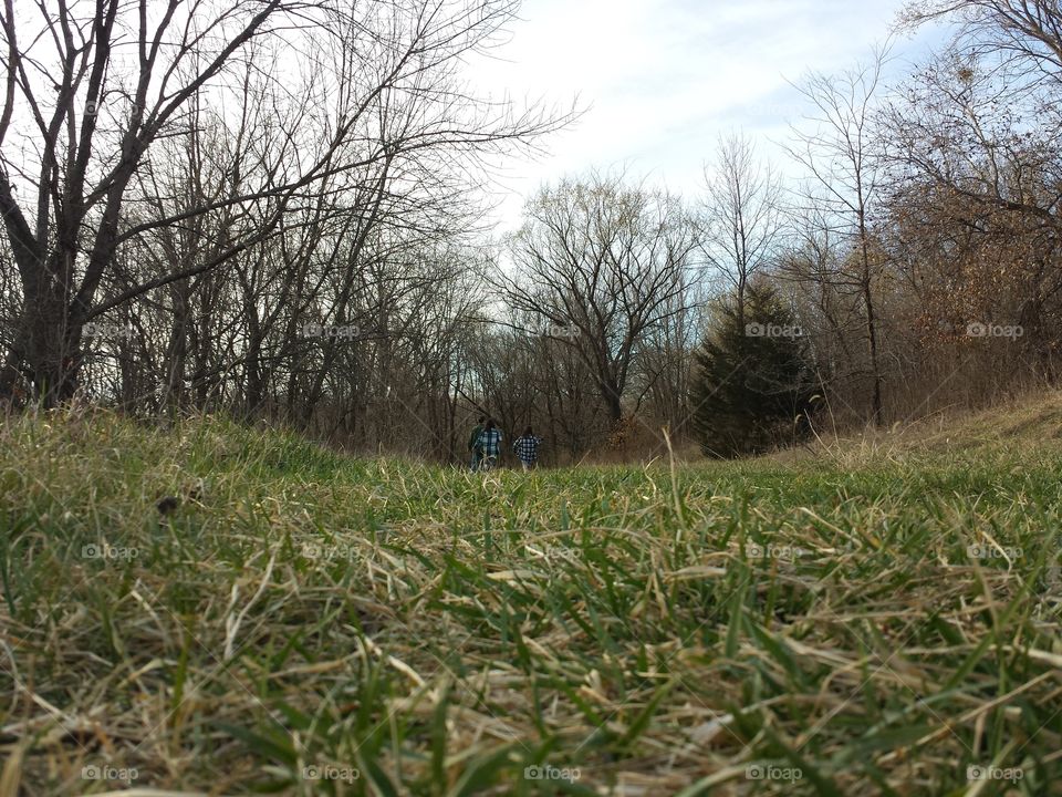 March Woodland Views