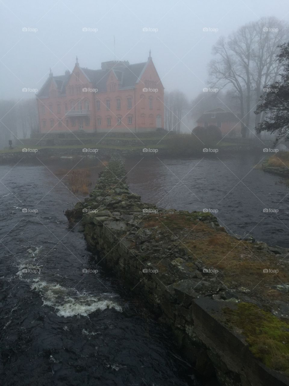 Castle in the fog