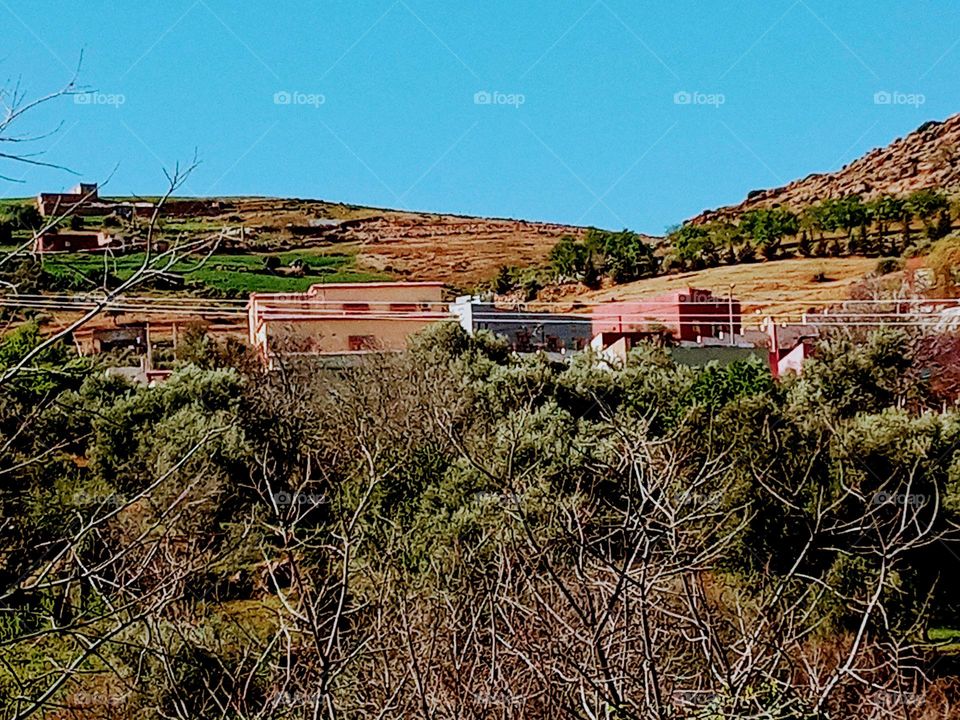 Population between the nature