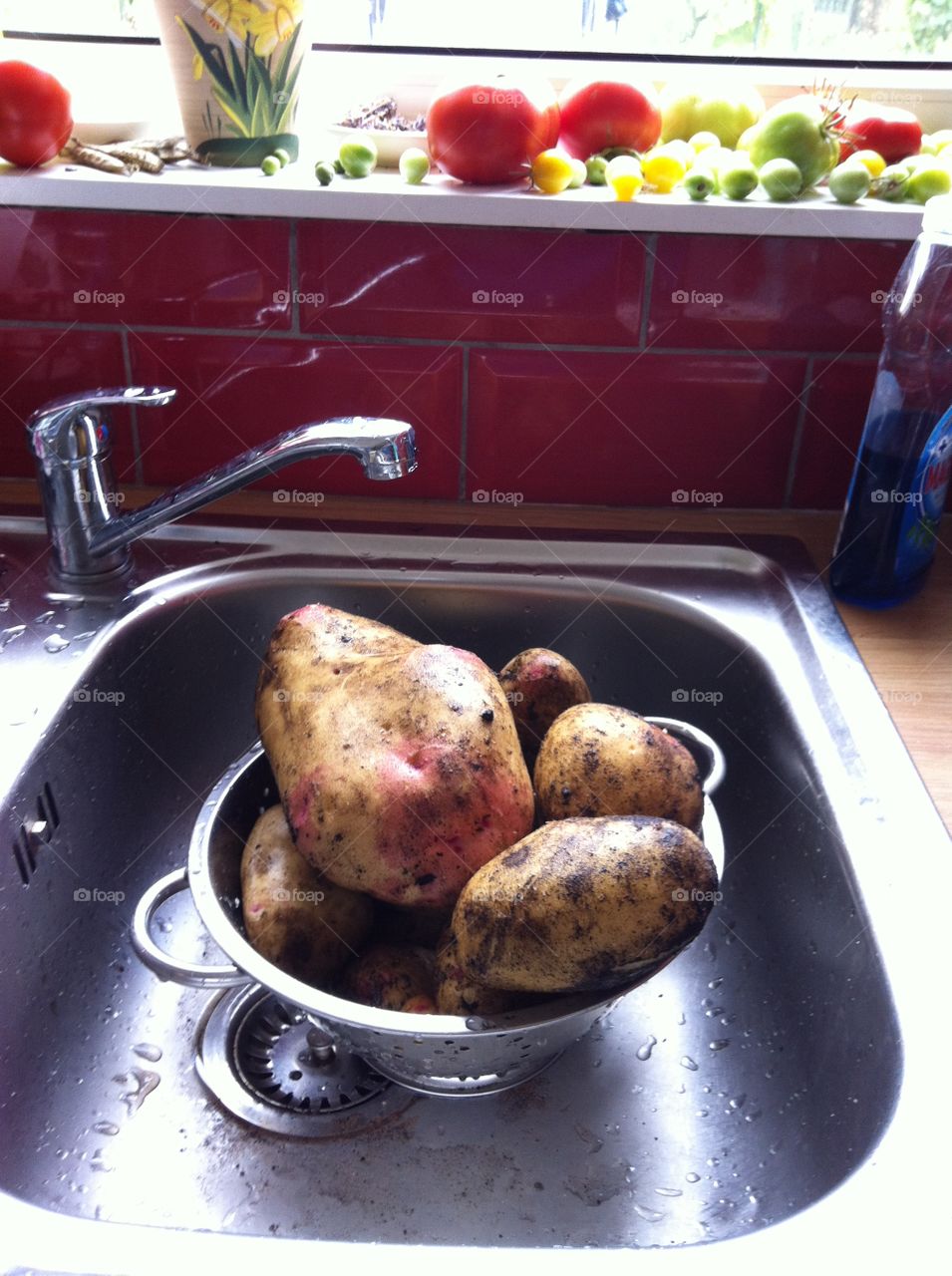 Organic self seeded in compost