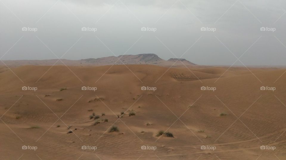 Desert, Landscape, Wasteland, Sand, Arid