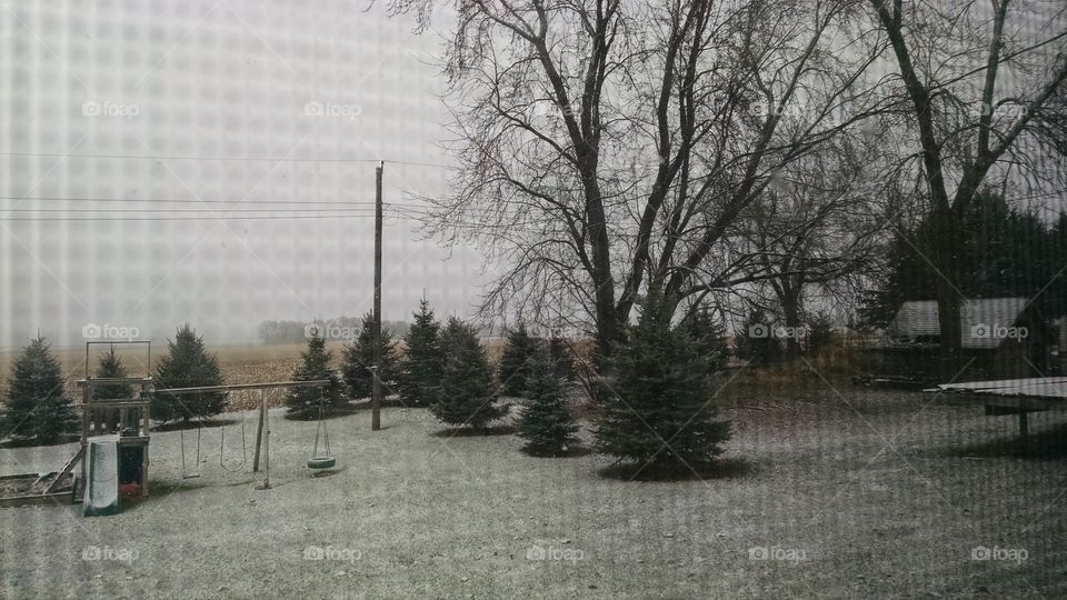 Tree, No Person, Landscape, Park, Weather