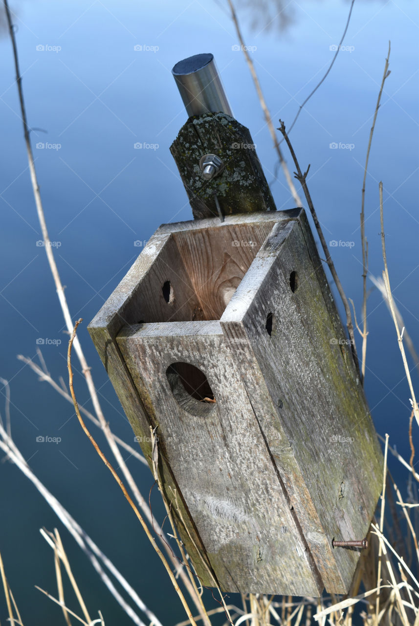 Bird house