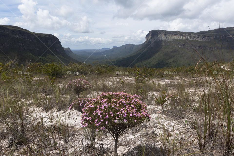 Hello, Brazil! Vale do Pati, Chapada Diamantina Bahia Brazil.