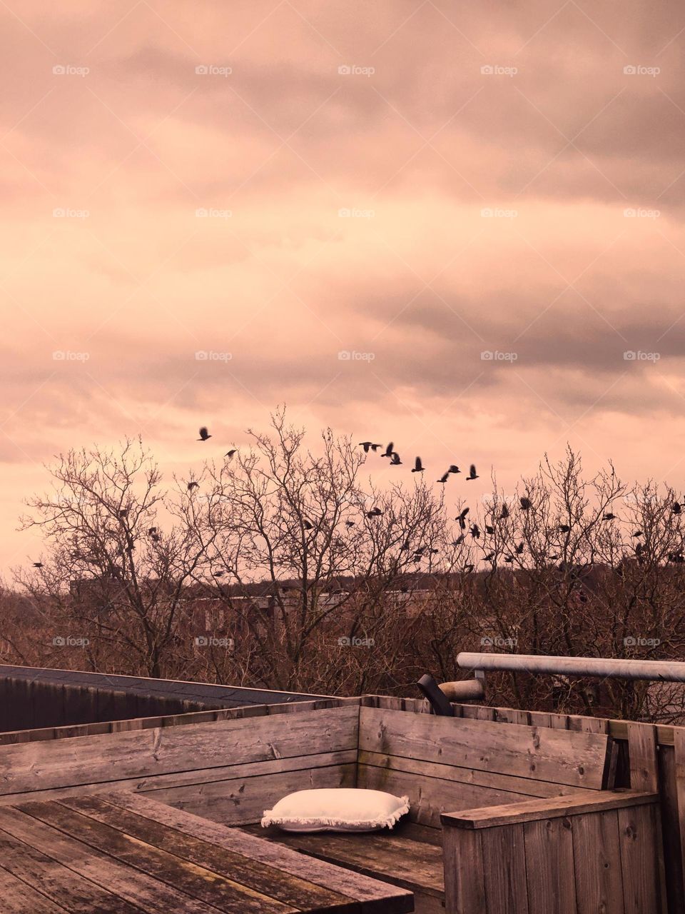 beautiful pink sunset 🌇 this is the beauty of Finland 😍😍