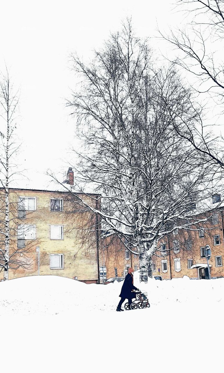 old People in a snowy world