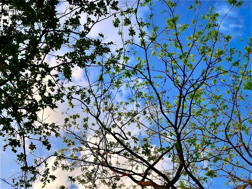 Upload the photo of the month July