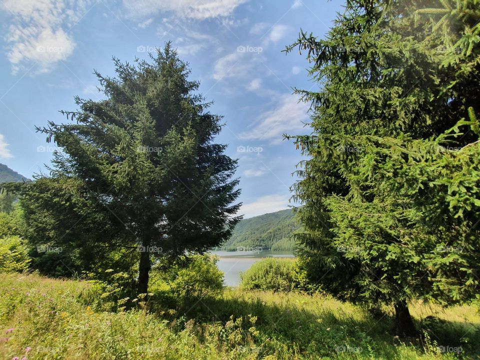 A lake on Hunedoara district