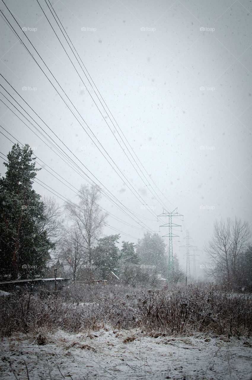 Falling snow in a rural winter scene with electricity poles