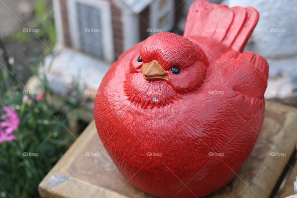 La Gallina roja