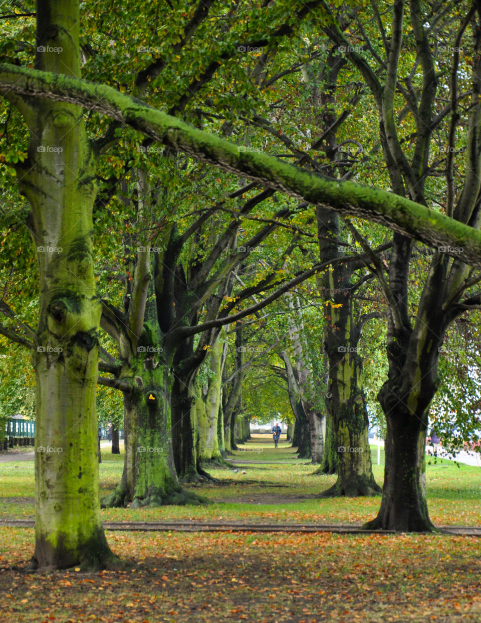 Autumn park in Gdynia 