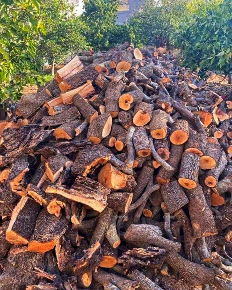 wood for fire in nature