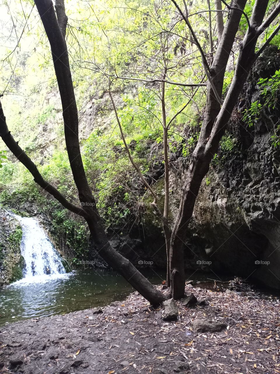 barranco Azuaje gran canaria