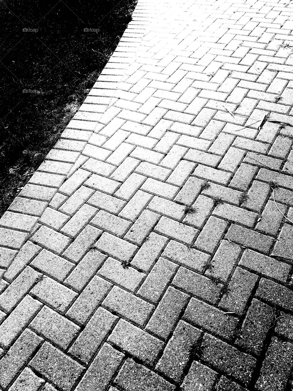 Interesting angles and shapes of all different sizes shapes and colors can be observed when in nature. 