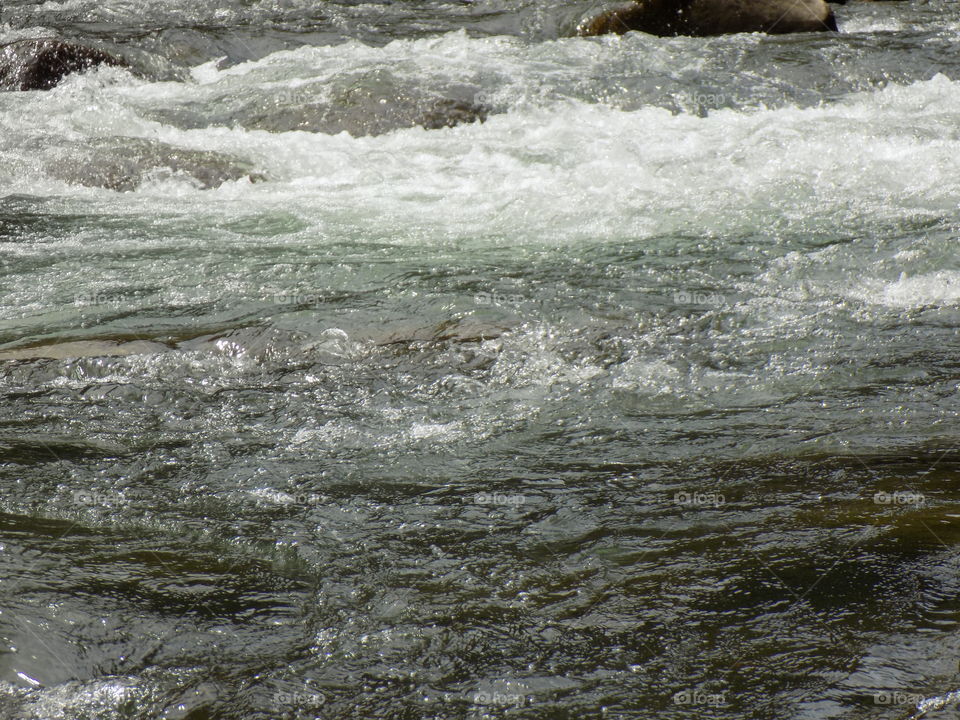 Tours to the jungle river passes through cold aceh halimon