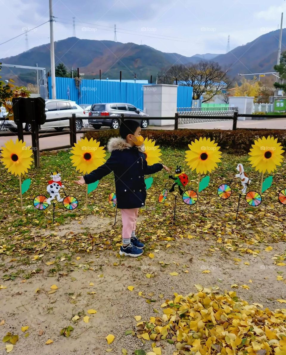 sun flower outside the school campus.