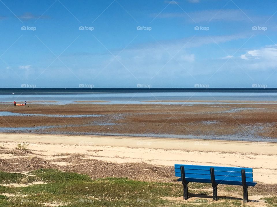 Blue bench on south Australia beach on summer day at low tide