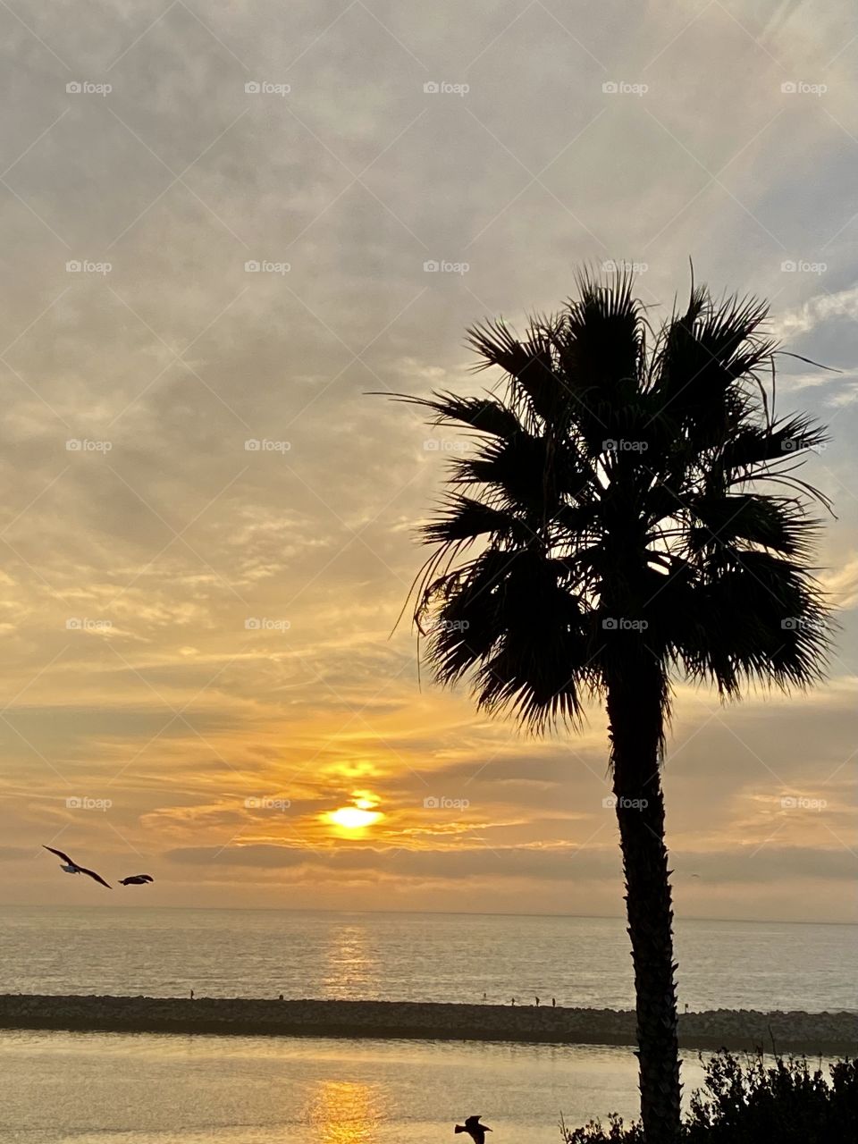 Sunset from the Lookout Point in Corona del Mar looking at the Pacific Ocean 