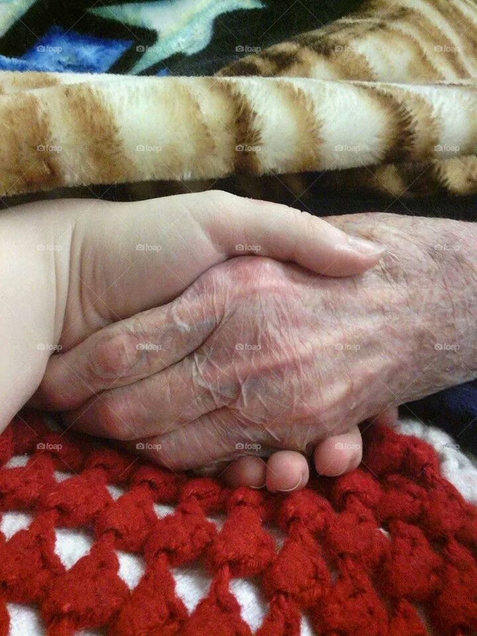 great grandmother's hand 