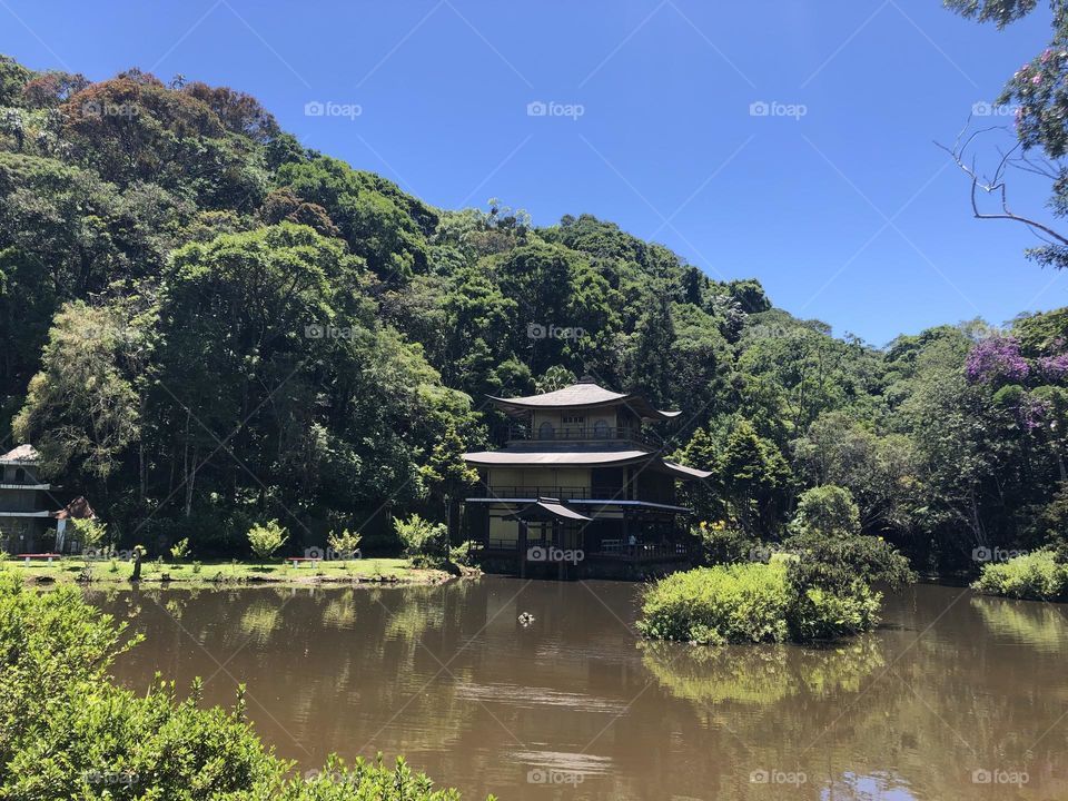 Buddhist temple surrounded by nature 