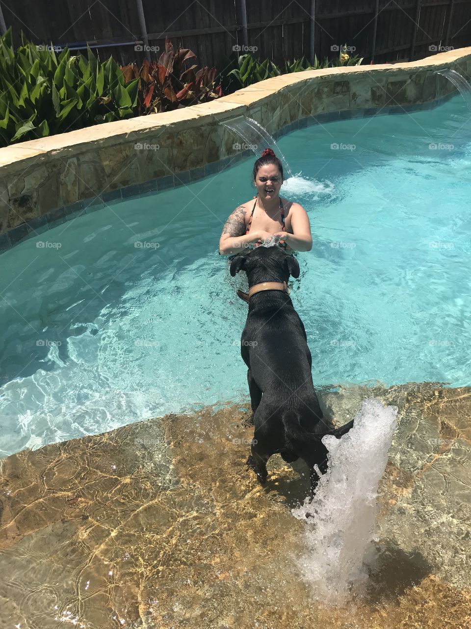 Splashing around in the pool with puppy on a beautiful but hot summer day in Texas 