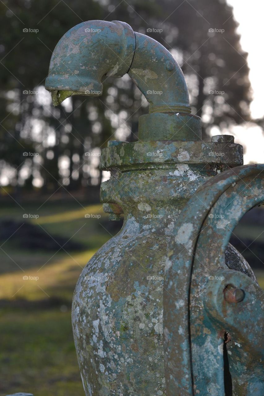antique , nature , can of water .