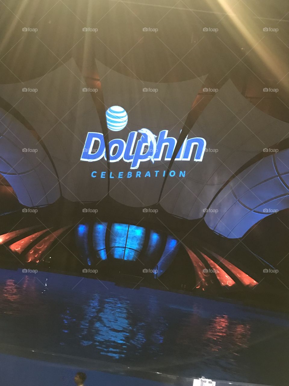 Georgia Aquarium Dolphin Celebration